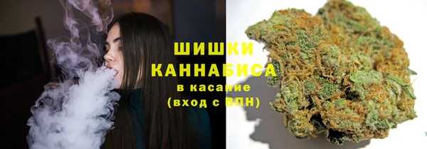 гашик Богородицк