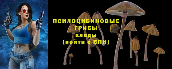 гашик Богородицк