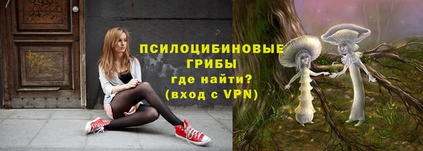 не бодяженный Богданович